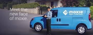 Moxie Pest Control Denver